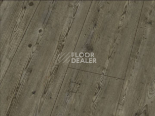 Ламинат Falquon Blue Line Wood 8mm D3546 PRIGNITZ PINE фото 1 | FLOORDEALER